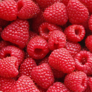 Zusatzbestellung Himbeeren