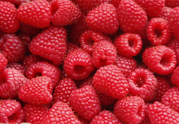 Zusatzbestellung Himbeeren