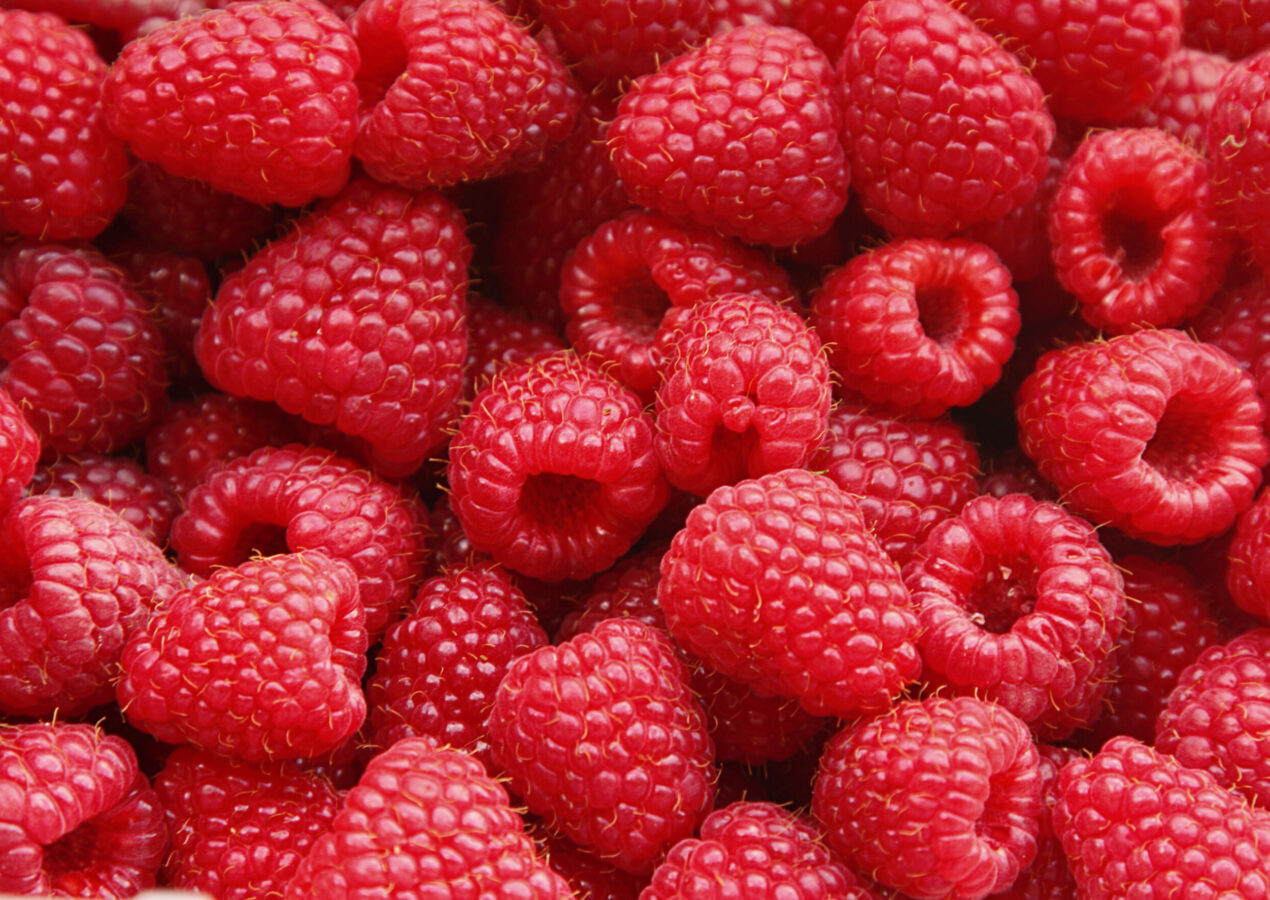 Zusatzbestellung Himbeeren
